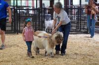 Comic Con, Car Shows & County Fairs! Arkansas Weekend Events Sept. 17-20