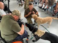 Unbroken Animals: Service Dogs Help Injured Ukrainian Veterans During Rehabilitation