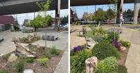 Greener, Cooler, Healthier: Transforming pavement into trees and plants in the Duwamish Valley