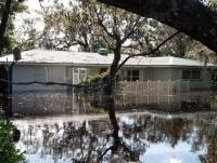 A hammock, climate change and finding home in Florida again | Column