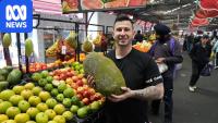 Social media and cultural taste sparks demand for exotic fruits
