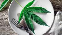 Survey: Patients With Eating Disorders Frequently Report Benefits From Cannabis