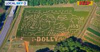 The late Dolly Parton honored in Tennessee corn maze