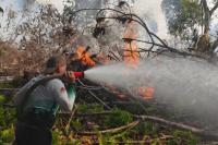 Indonesia says it adheres to ASEAN protocols amid transboundary haze