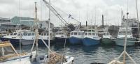 Boat haul-out plans welcomed but timeline sought