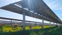 Turkey Bets $108 Billion on Wind and Solar While Expanding Oil and Gas