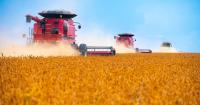 Will the soybean market go quiet? Or mount a voracious rally?
