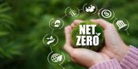 Why has ‘net zero’ become such a political headache for Britain?