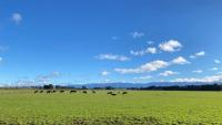 Anza Power acquires 205MWac construction-ready solar plants from Helios Energy in New Zealand