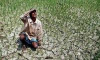 Karnataka announces loan repayment relief for farmers in 101 drought-hit taluks