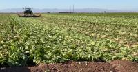 Colorado lawmakers urged to fill gaps in food system, trace recall origins better