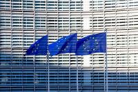 China urges EU to revise rules of procurement