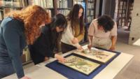 History, art and science join forces to unlock the mysteries of a 400-year-old book