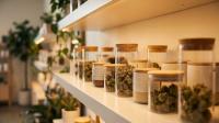 Council approves resolution establishing fees for cannabis regulatory permits