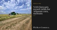NASS forecasts record yields for Arkansas corn, soybeans