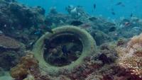 Recycled tires increase fish density 20 times in concrete channels in California and Arizona