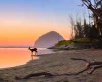 Photo Contest Highlighting California’s State Parks Through September 30th