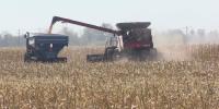 All-time record high diesel prices continue in Minnesota as harvest season gets underway