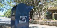 North Carolina postal workers defend, encourage mail-in voting ahead of midterms