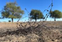 Soviet Gulag Site in Kazakhstan Examined