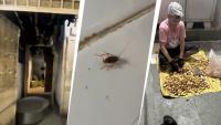 Meat blood residue, urinal in food storage: FDA shuts Mumbai's Olympia Coffee House