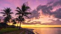 Labor tells farmers upset about backpacker shortages to recruit Pacific islanders