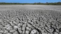 ‘Super El Nino’ could cause over 450,000 deaths – study
