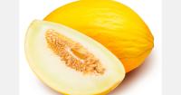 Melon exports in Brazil reach 8,800 tons in August