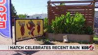 Rain brings relief to Hatch chile growers and businesses after dry spell