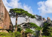 Huangshan Launches “Movie of Your Life” Themed Routes, Offering Korean Travelers a New Cinematic Destination