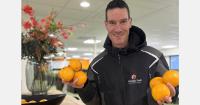 “South African citrus season a tale of two halves”