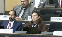 Tunisian Mission in Geneva: Accountability for Violations Against Women and Children in Conflict Zones