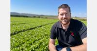 Mini lettuce targets new retail and foodservice applications in Europe