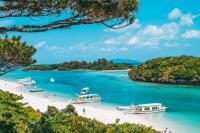 7 healthy habits of people living in the Blue Zones