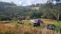 From Riverfront Sleeps to London Bus Stays, These Camping Spots Have Been Named Australia's Best for 2026
