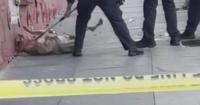 San Francisco dog mauling prompts push for new pet safety rules in supportive housing
