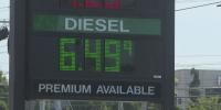 Diesel prices hit record high, squeezing Kentucky cattle producers