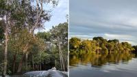 Brazil protects 1.6 million acres, creates 4 Amazon reserves, and expands Caatinga park