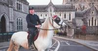 Dublin local history: from the nobility of Tallaght to the remarkable story of Neary’s pub