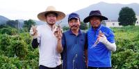We quit our jobs to travel the world. Now my wife and I run her family's farm in South Korea.