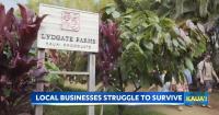 Kauai small businesses struggle as tourism drops after Hurricane Lowell