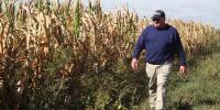 Milnor farmer talks stress, resilience during dry growing season