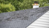 Buyer loves a house with an old roof, then learns no insurance could mean no mortgage