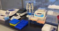 Arizona researchers pioneer autism urine screening targeting gut bacteria
