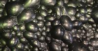 Geologist deep dive reveals rich copper, gold deposits