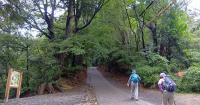 Asian black bear caught on camera on Mount Takao in Tokyo