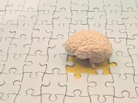 Better fitness was linked to healthier brain structure, but not better memory