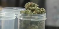 Alabama’s medical cannabis program reaches North Alabama with new Athens dispensary