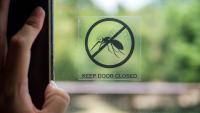 Maryland residents say mosquito swarm made even stepping outside impossible for weeks