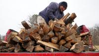 Michigan rolls out new firewood quarantine requirements to curb invasive pests